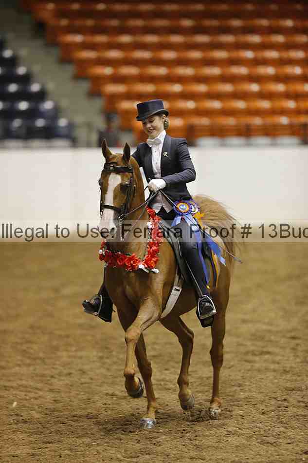 Proof 13buck_6374