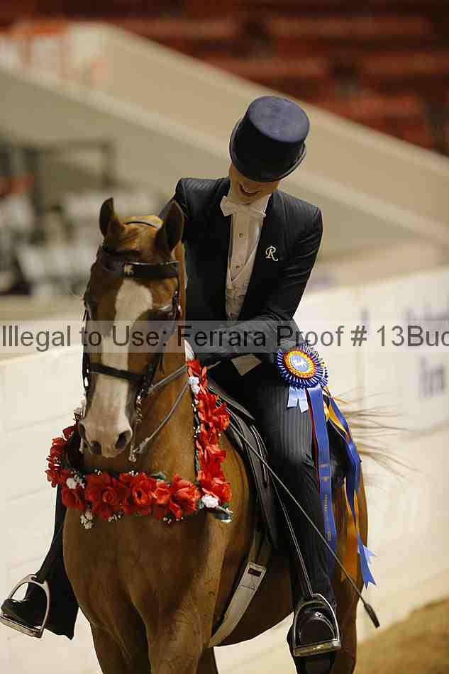 Proof 13buck_6378