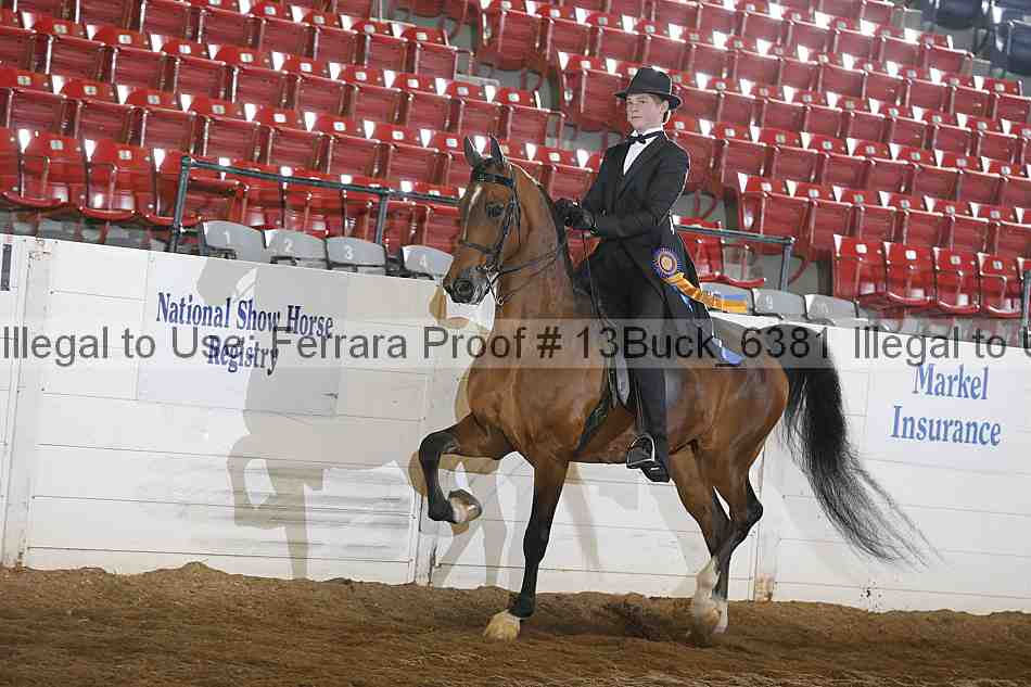 Proof 13buck_6381