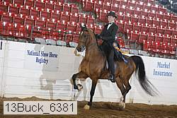 13buck_6381 proof