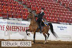13buck_6382 proof
