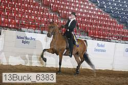 13buck_6383 proof