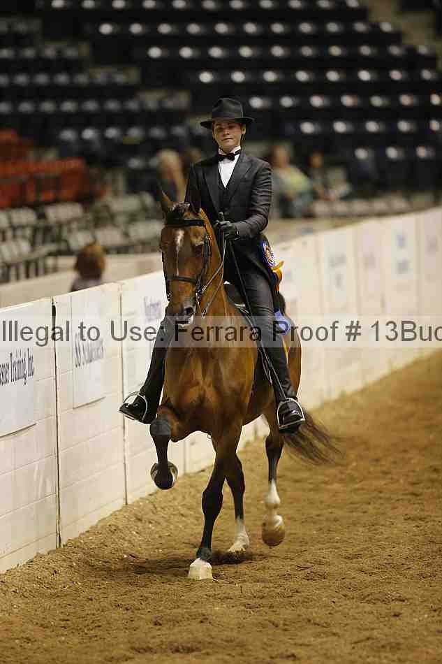 Proof 13buck_6384