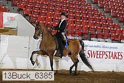13buck_6385 proof