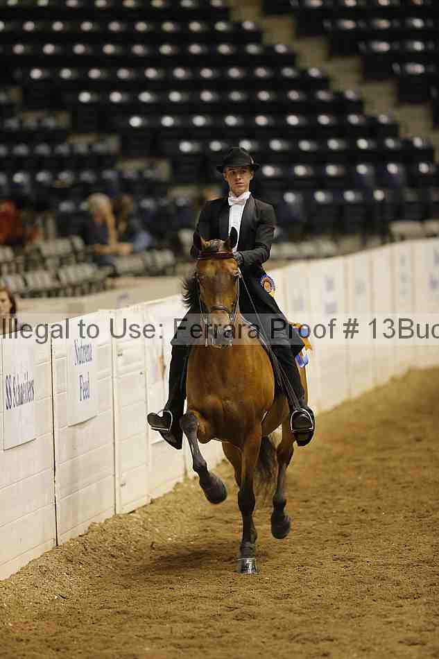 Proof 13buck_6386