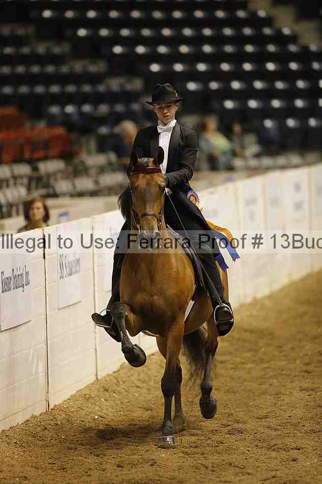 Proof 13buck_6387