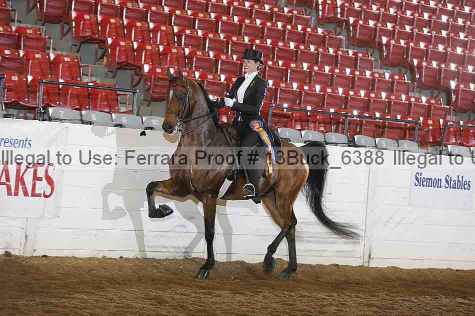 Proof 13buck_6388