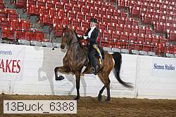 13buck_6388 proof