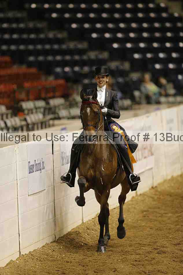 Proof 13buck_6389