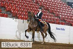 13buck_6391 proof