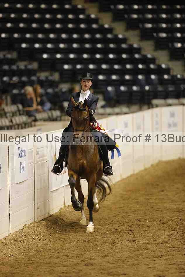 Proof 13buck_6392