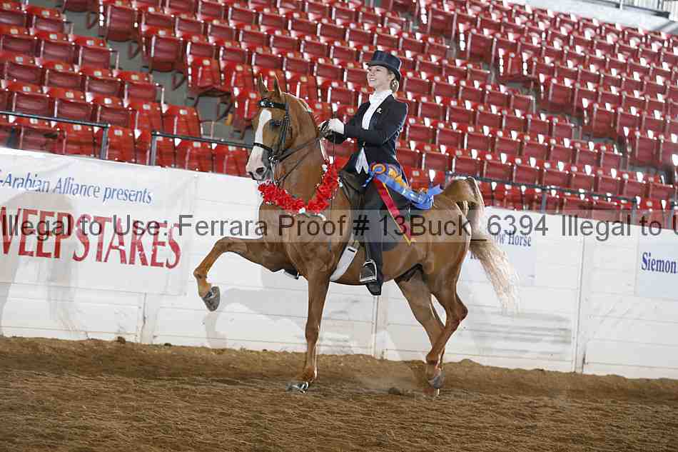 Proof 13buck_6394
