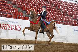 13buck_6394 proof