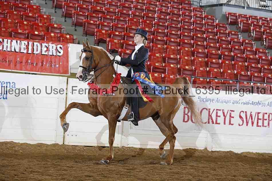 Proof 13buck_6395