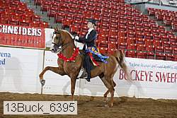 13buck_6395 proof