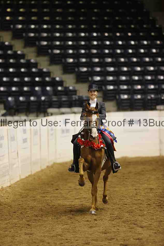 Proof 13buck_6396