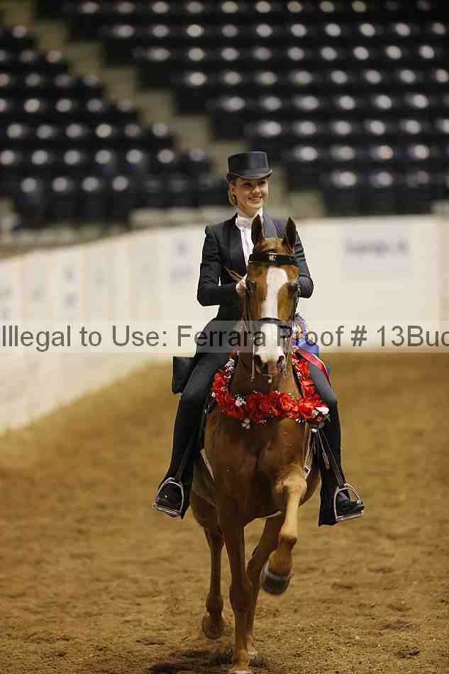 Proof 13buck_6397