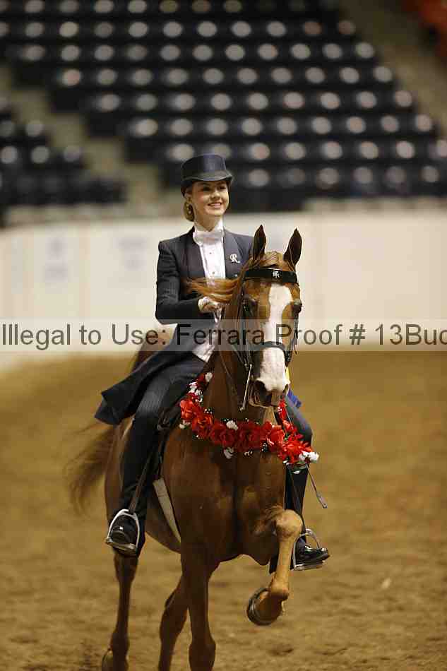 Proof 13buck_6398