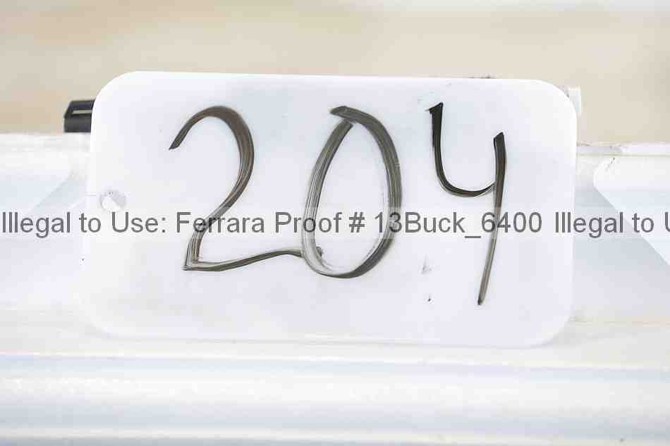 Proof 13buck_6400