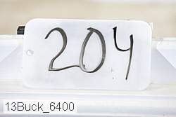 13buck_6400 proof