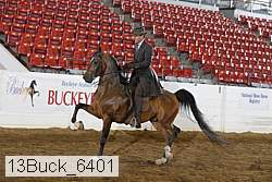 13buck_6401 proof