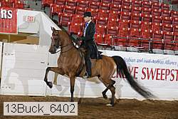 13buck_6402 proof