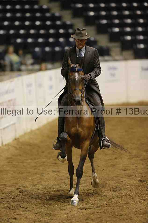Proof 13buck_6403