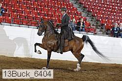 13buck_6404 proof