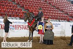 13buck_6407 proof