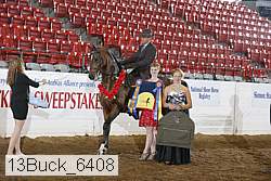 13buck_6408 proof