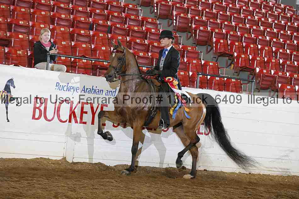 Proof 13buck_6409