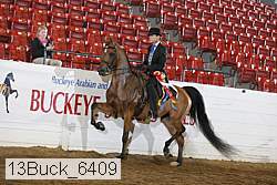 13buck_6409 proof
