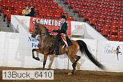 13buck_6410 proof