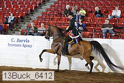 13buck_6412 proof