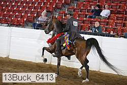 13buck_6413 proof