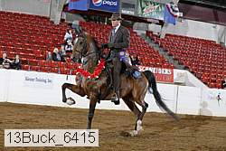 13buck_6415 proof