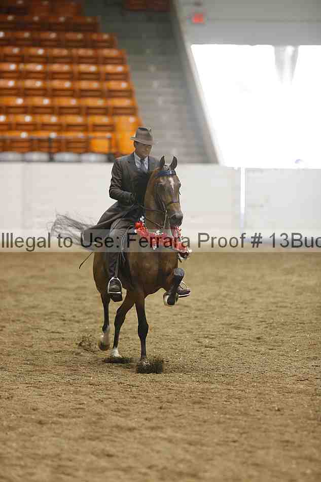 Proof 13buck_6416