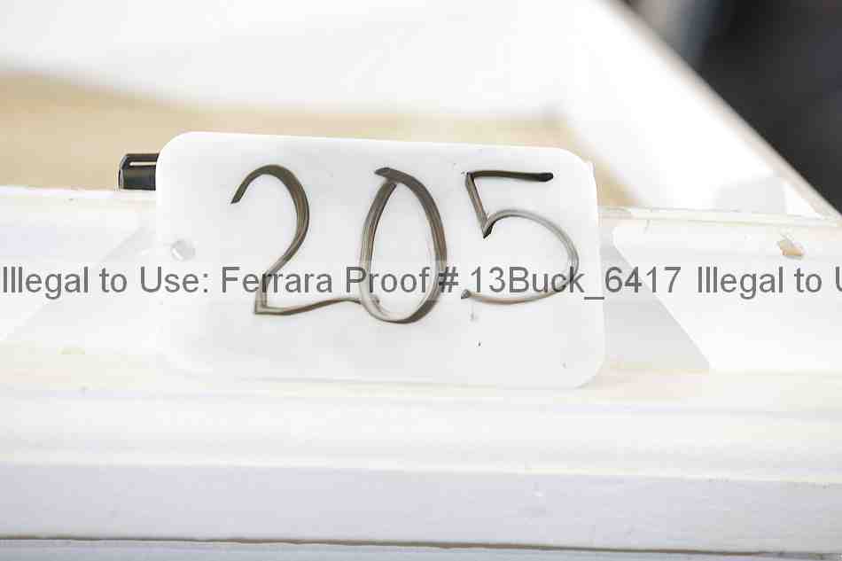 Proof 13buck_6417