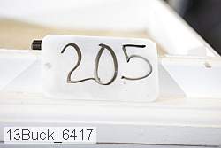 13buck_6417 proof