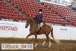 13buck_6418 proof