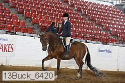 13buck_6420 proof