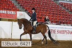 13buck_6421 proof