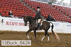 13buck_6424 proof