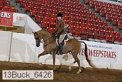13buck_6426 proof