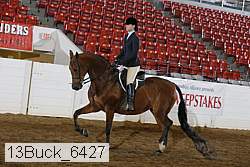 13buck_6427 proof