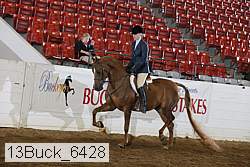 13buck_6428 proof