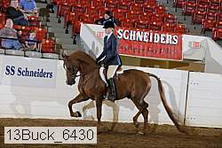 13buck_6430 proof