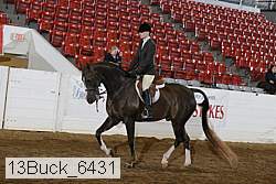 13buck_6431 proof