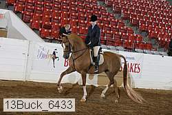 13buck_6433 proof