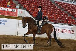 13buck_6434 proof